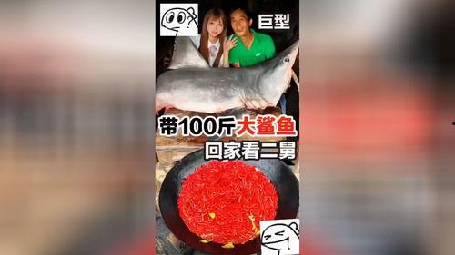 爆料网红吃鲨鱼视频下载,惊悚视频引发网友热议