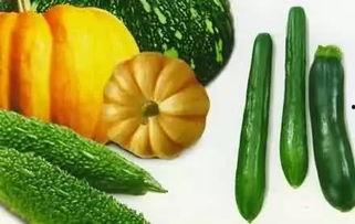 抱头吃瓜,揭秘网络热议背后的真相与笑料