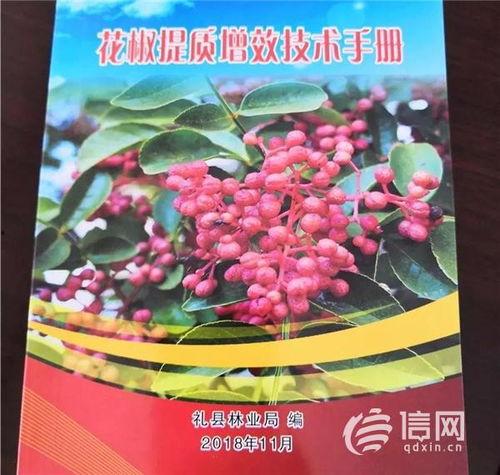 东坪花椒新闻头条,助力乡村振兴新篇章