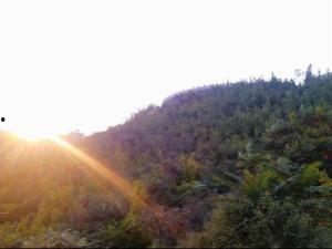 邯郸紫山头条新闻,探寻历史遗迹，感受自然风光