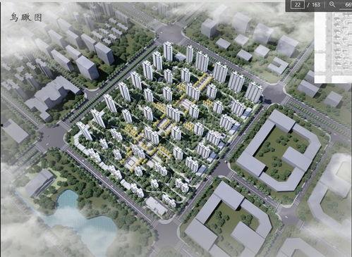 南和区最新头条消息,聚焦发展成果，共话未来蓝图