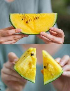 衢州吃瓜最新事件,揭秘背后真相与网络舆论风暴