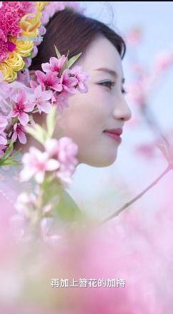 网红张琪文,网红界的璀璨明星，揭秘她的魅力人生