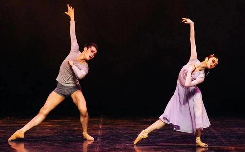 上海男舞蹈明星,揭秘我国著名男舞蹈明星的艺术风采