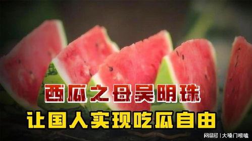 让吃瓜群众实现吃瓜自由,让全民共享吃瓜自由新篇章