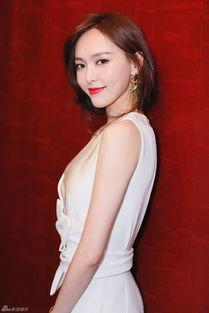 天涯爆料陈放视频大全,陈放视频大全揭秘，真相与争议并存