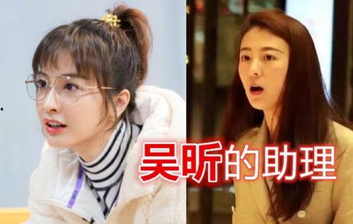 明星助理剧情介绍,幕后风云，爱恨交织