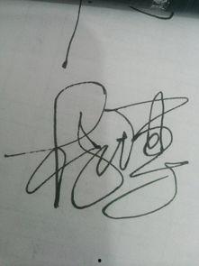 明星杨博,星光璀璨的演艺之路