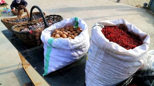 磁县做菜网红推荐