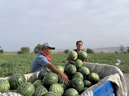 沈林吃瓜,揭秘娱乐圈背后的那些事儿