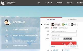 头条自助下单网页