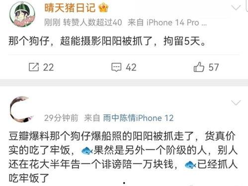 阳阳娱乐爆料名单,揭秘娱乐圈最新名单风云