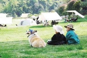 眉山网红露营地点,探索自然与人文交融的户外天堂