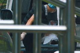 头条美国灭门惨案真相,揭开真相的惊人内幕