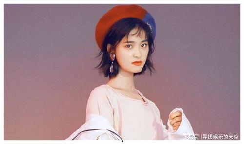 成明星圆,揭秘成明星圆的璀璨人生